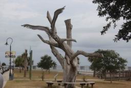 2025 10 25 Bay St Louis MS Witchs Walk (1015).JPG